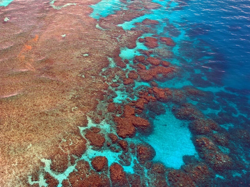 Scuba Diving in the Great Barrier Reef